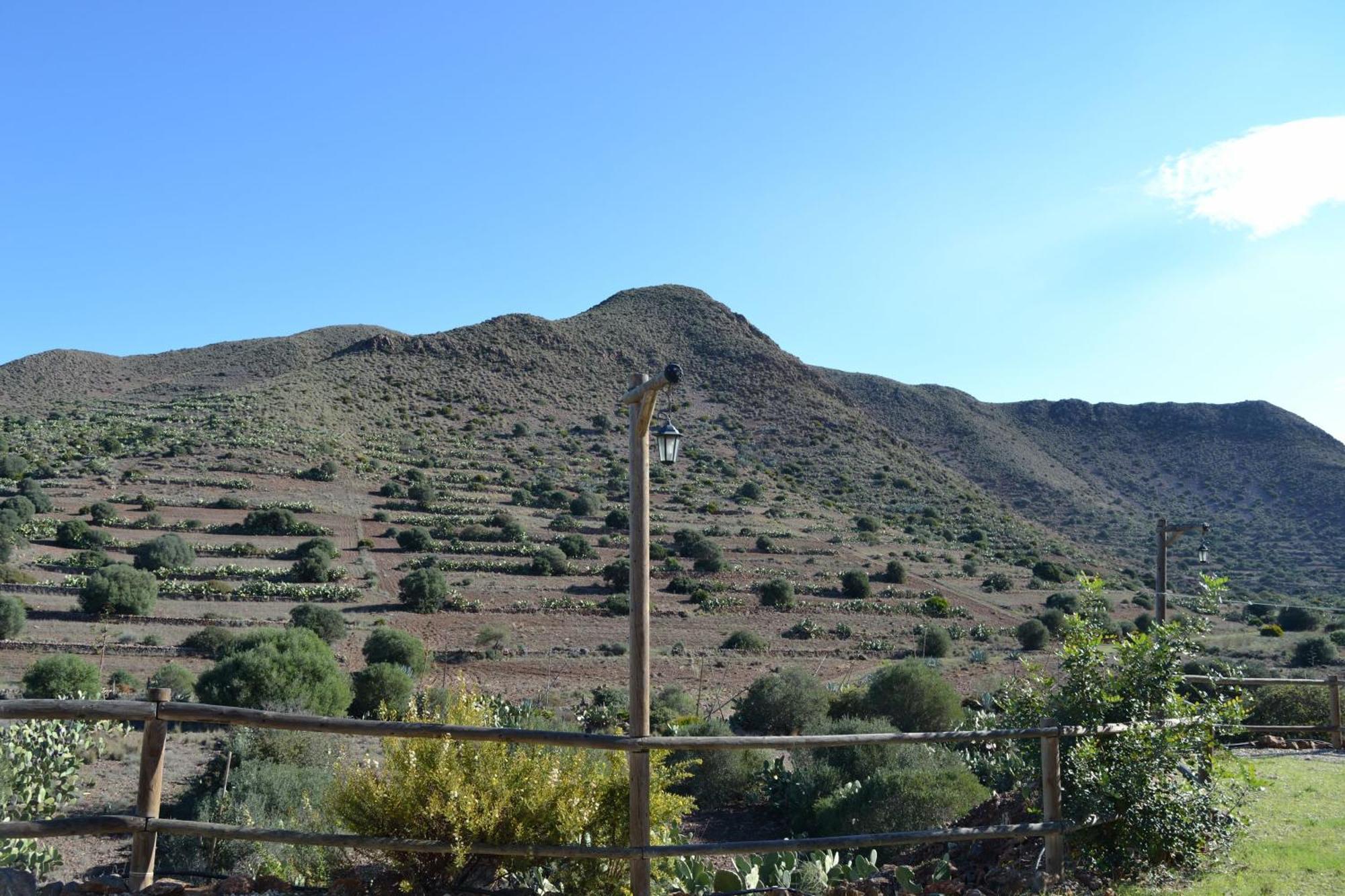 Casas Rurales La Minilla Los Albaricoques Esterno foto
