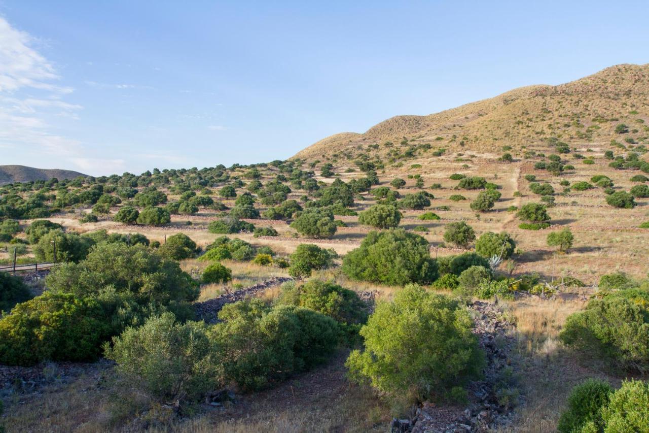 Casas Rurales La Minilla Los Albaricoques Esterno foto